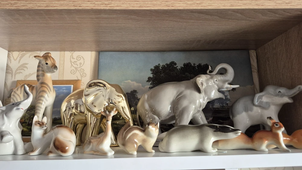 Юлия отзыв от 07.04.2026